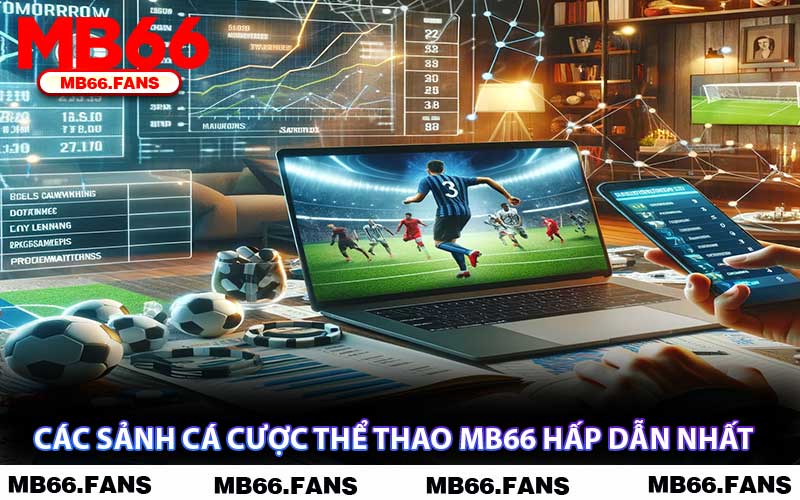 Các Sảnh Cá Cược Thể Thao MB66 Hấp Dẫn Nhất