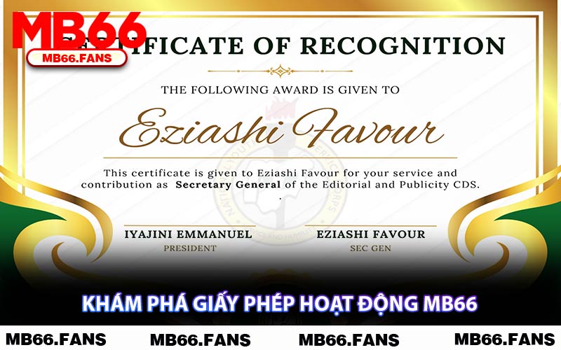 Khám Phá Giấy Phép Hoạt Động MB66