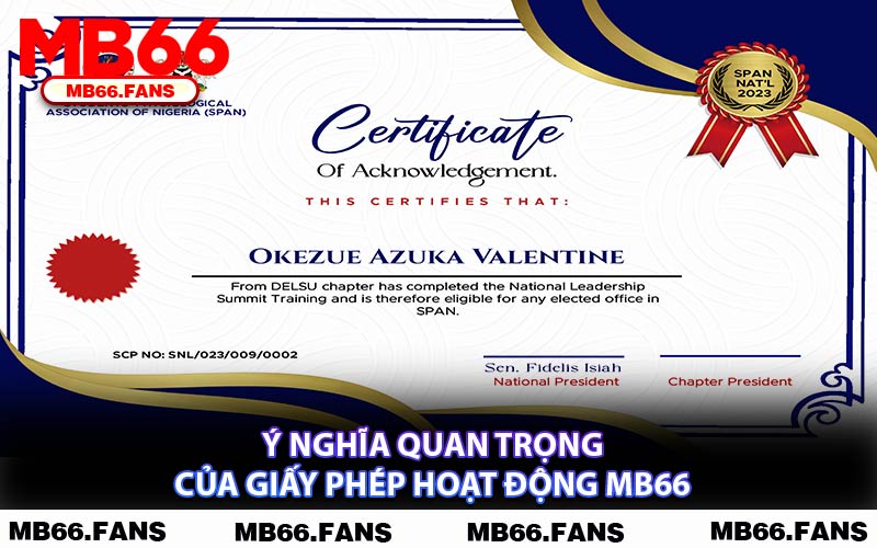 Ý Nghĩa Quan Trọng Của Giấy Phép Hoạt Động MB66